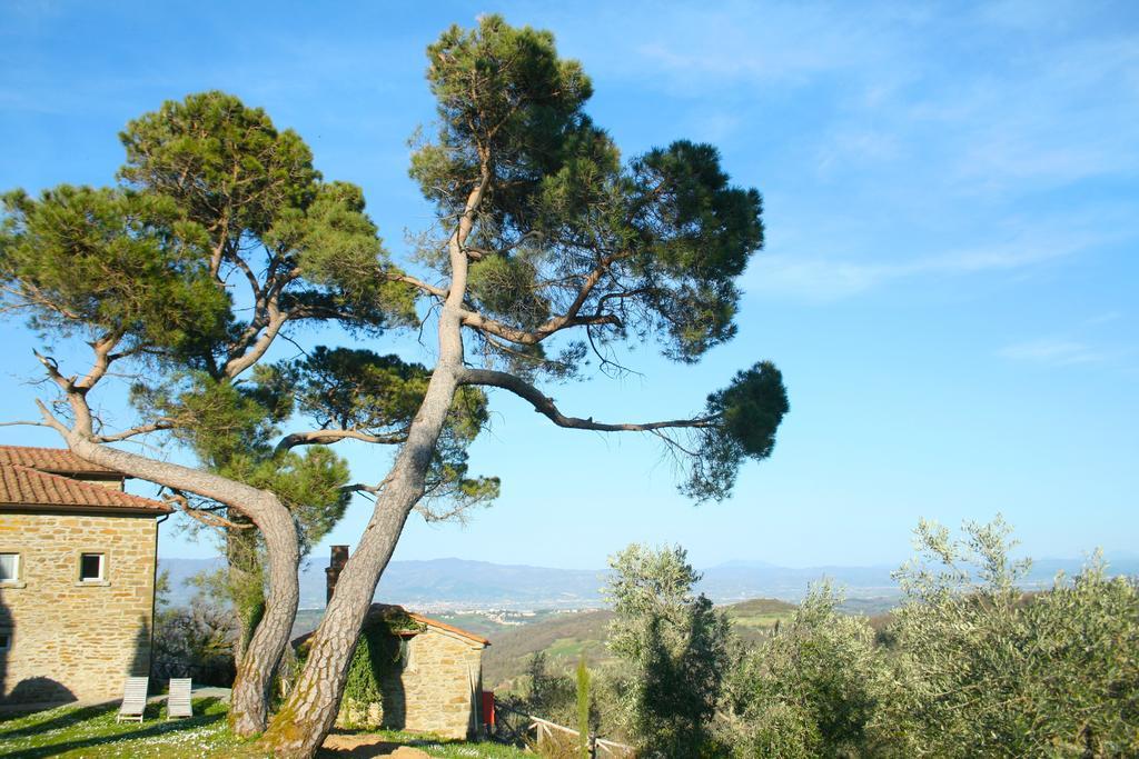 Relais Il Pozzeto Bed & Breakfast Anghiari Exterior foto